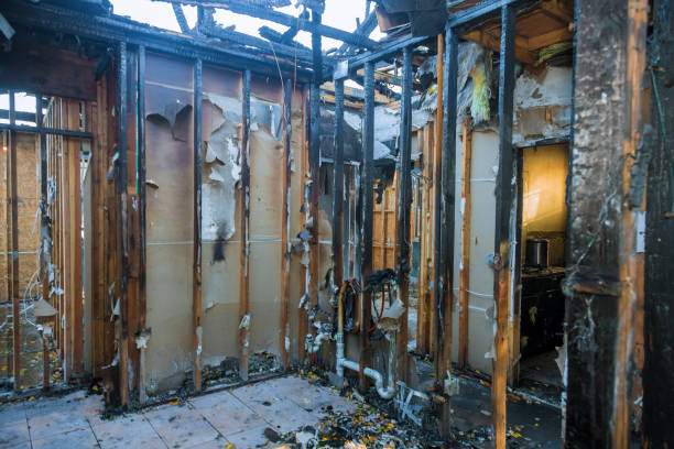 Professional Smoke Damage Removal technician working in Pond Creek, OK
